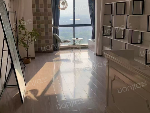 整租·步行街大厦 1室0厅 东南