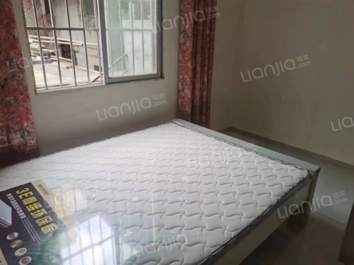 整租·鲁井巷 1室1厅 西北