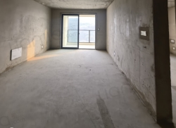 整租·泰禾金尊府 3室2厅 南_泰禾金尊府租房