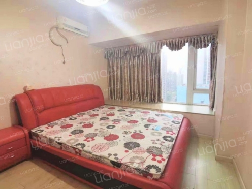 整租·金科蚂蚁 1室1厅 南/北