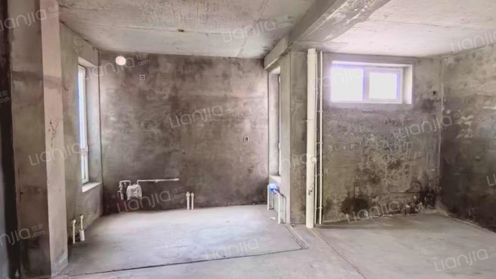 环京独栋别墅 京港澳高速旁 带大花园 配套成熟-厨房