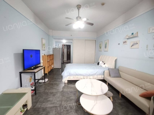 整租·步行街大厦 1室1厅 南