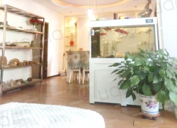 整租·湛河区检察院家属楼 3室2厅 南_湛河区检察院家属楼租房