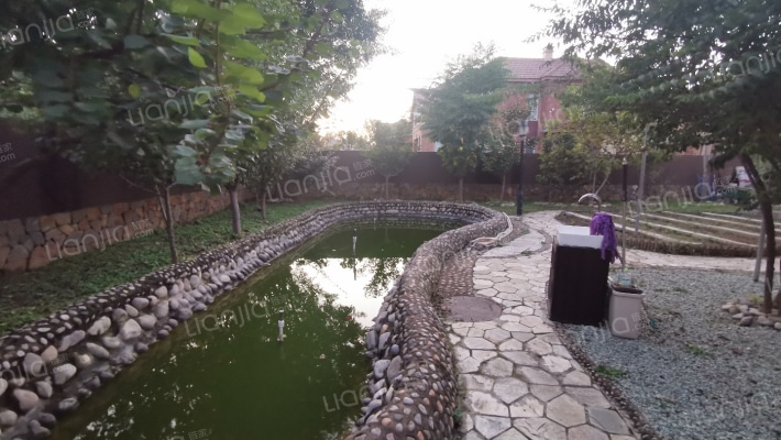 4A级高尔夫别墅景区，独栋别墅，大面积私人庭院。-露台