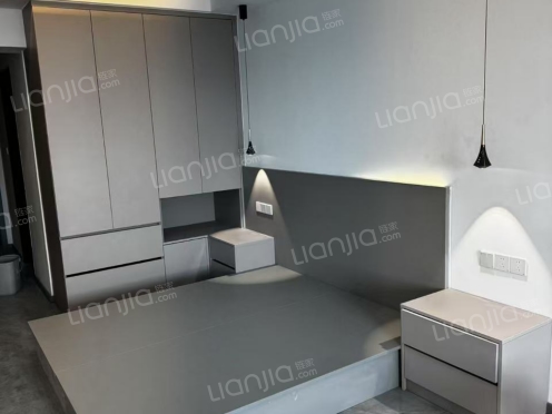 整租·财富·1号 1室1厅 南