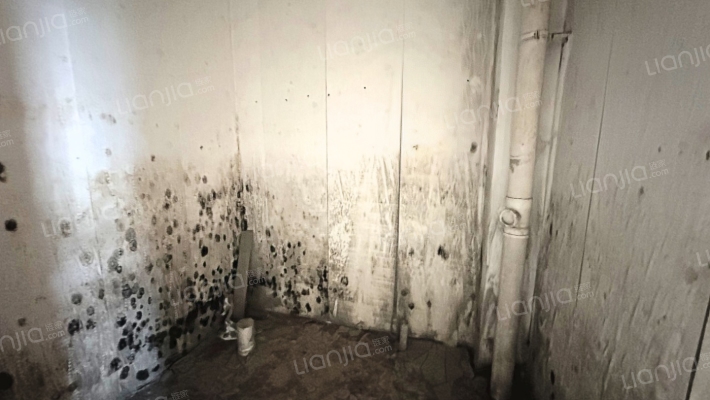 码头离高速近 联排别墅前后带小院 低总价 可议-卫生间C