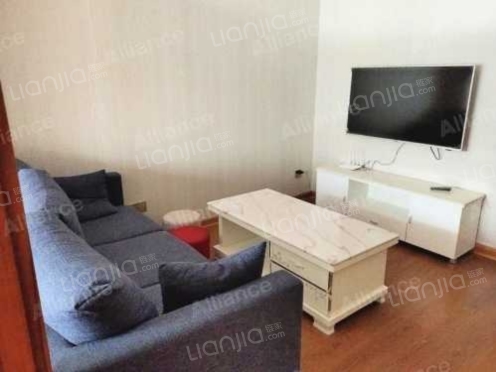 整租·泊岸公馆 1室1厅 西南