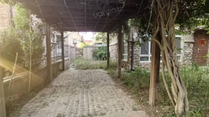 东京都高尔夫 临水 独栋别墅 大院子 好户型-花园