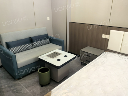 整租·江州财富广场 1室1厅 南/北