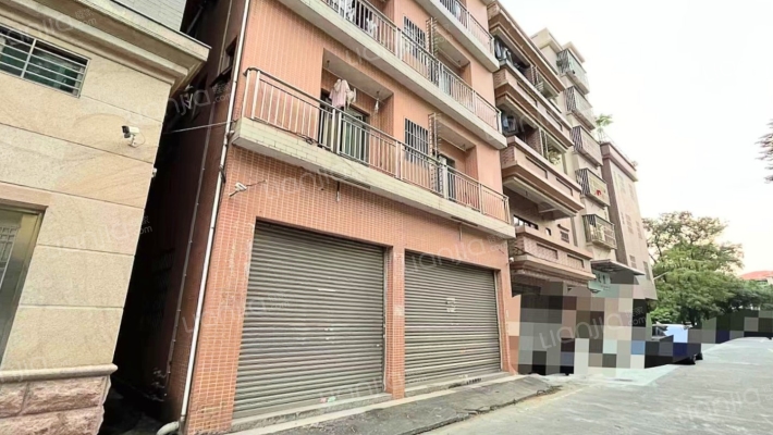 乐从自建房葛岸村委会二手房实景图