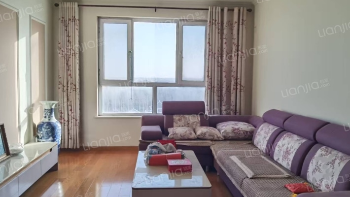 全天采光 纯南业主自住精装两居室-客厅