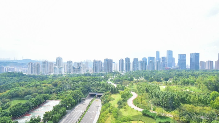 香港置地头排正看公园5房4卫精装大平层270度景观视野-窗外景观