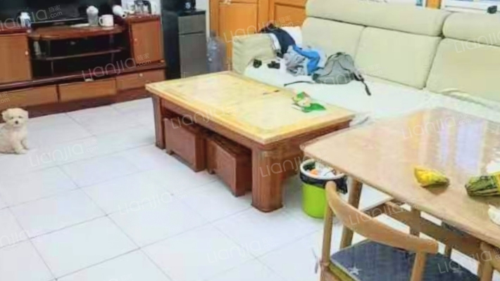 建设路南北两居中间层，生活方便单价低-客厅