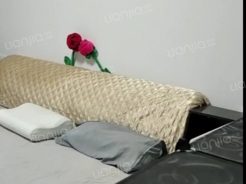 合租·天江鼎城博园 1居室 东卧