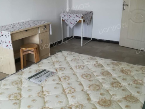 整租·吴嘴小区 1室1厅 南/北