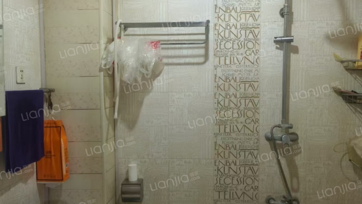 水岸花城 1室1厅 南-卫生间