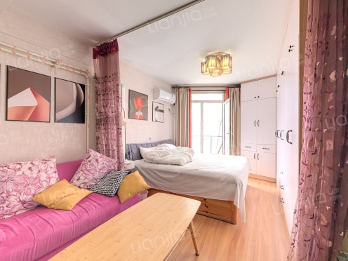 整租·天泰阳光海岸 1室0厅 西