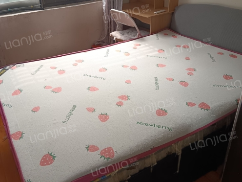 整租·铁西四里 3室1厅 东