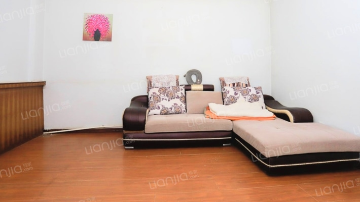 药厂家属楼二手房实景图