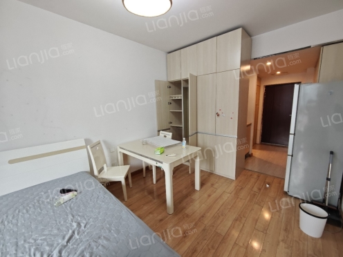 整租·东原D8公馆 1室1厅 东