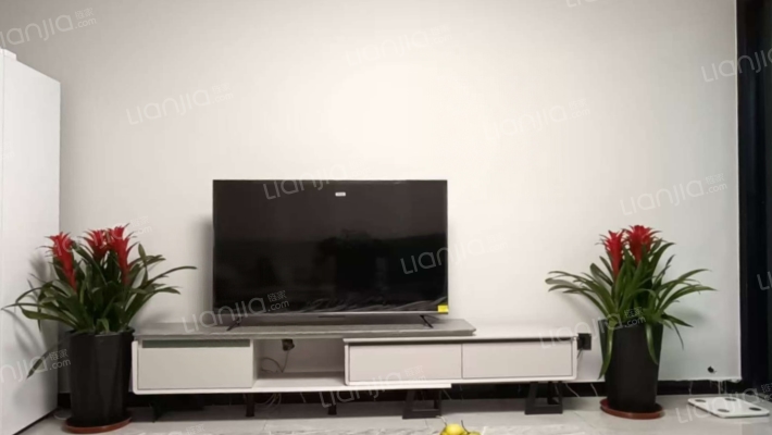 火车站旁 精装南北通透大两居，自住装修，急售-客厅