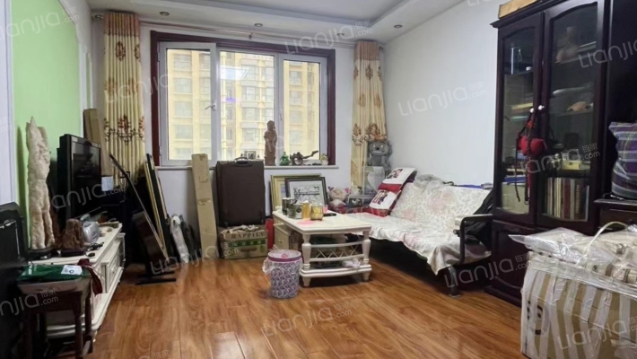 名流美域  满二  精装修 拎包入住-客厅