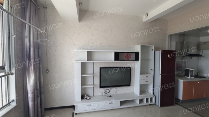 金街公寓 复式 一室一厅 高楼层 采光无遮挡-客厅