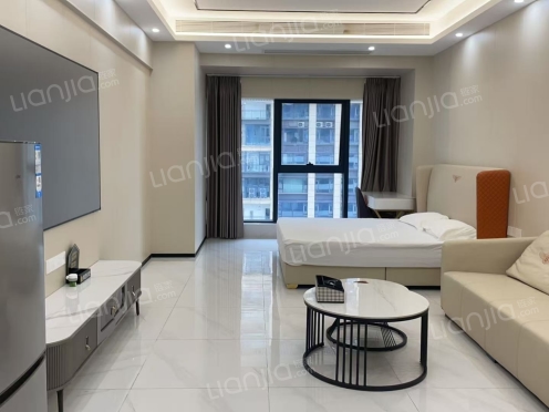 整租·华盛·御秀 1室1厅 南