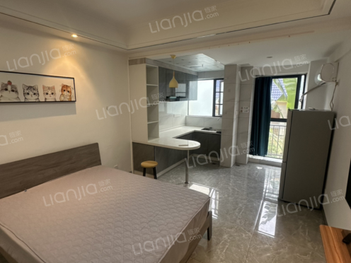 整租·浩宇滨江公馆 1室1厅 南