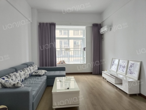 整租·华茂1958C区 1室1厅 南