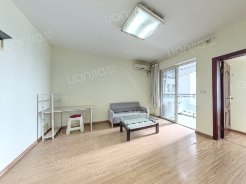 整租·莲花国际 1室1厅 南/西南