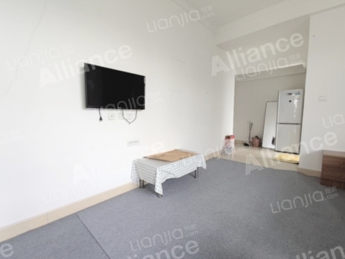 整租·宝龙钻石公寓 1室1厅 北