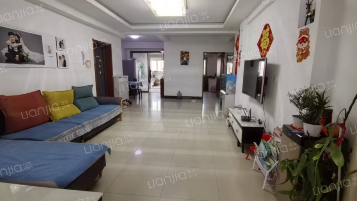 华阳公寓 小区干净整洁 采光好 无遮挡-客厅