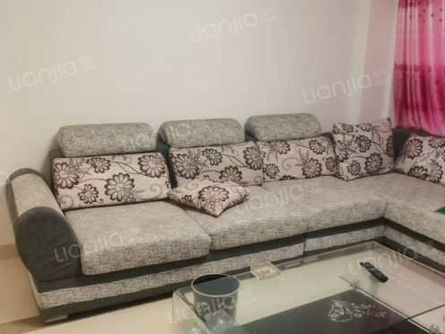 整租·龙桥新园 2室2厅 南