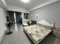 整租·新天地 1室0厅 南_新天地租房