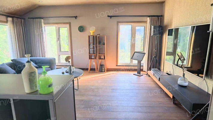 急售临湖大独栋别墅，精装修，价格美丽，风景独好-客厅C