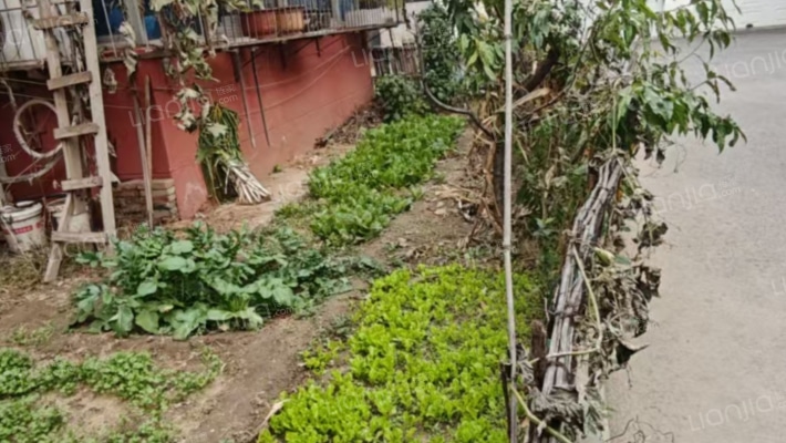 通透大四居，一楼无遮挡，范阳中路南-窗外景观