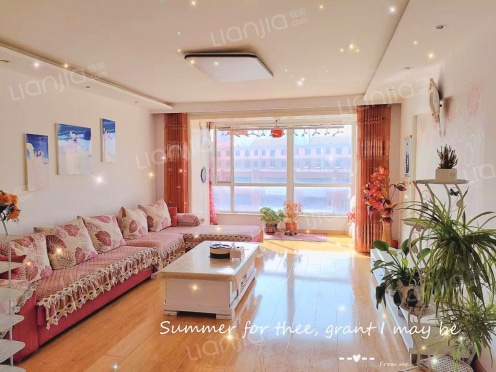 整租·东河村欣苑 2室2厅 南/北