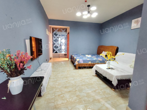 整租·珠江国际 1室1厅 东南