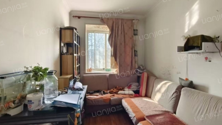 华阳水电单位房户型方正  南北通透  客厅两个卧室朝南-客厅