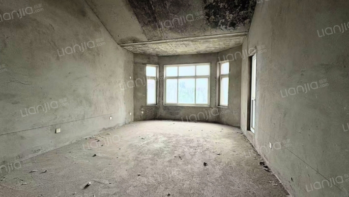 独栋别墅，房本满五唯一，户型好，宽敞通透，居住舒适-客厅B