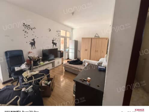 整租·盛华未来城 1室1厅 南