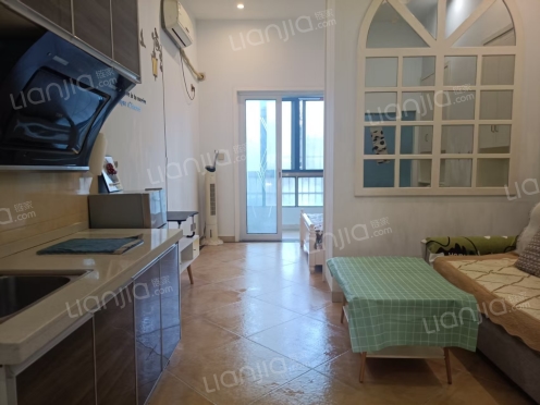 整租·和生源 1室1厅 复式 南/北