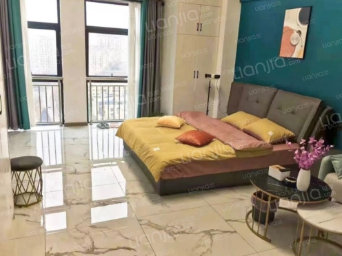 整租·新华广场 1室1厅 东南