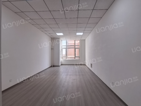 整租·公园8090 1室1厅 东