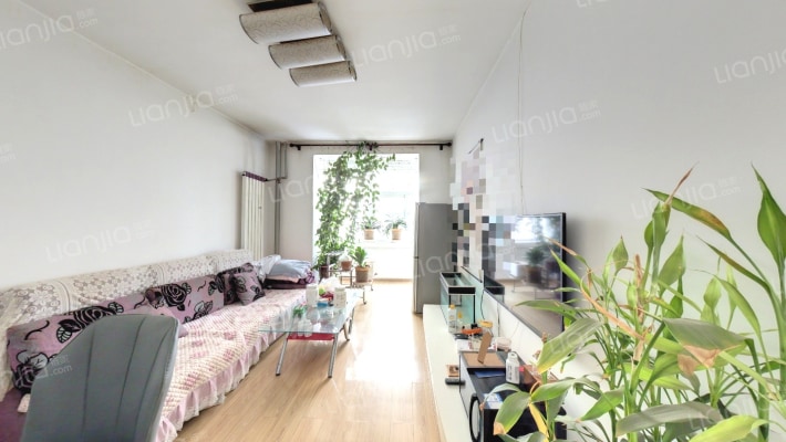 市手扶拖拉机厂家属院二手房实景图