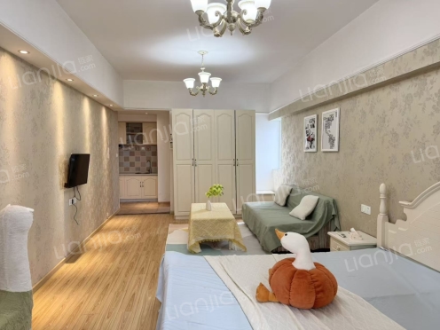 整租·东原翡翠明珠 1室1厅 西北