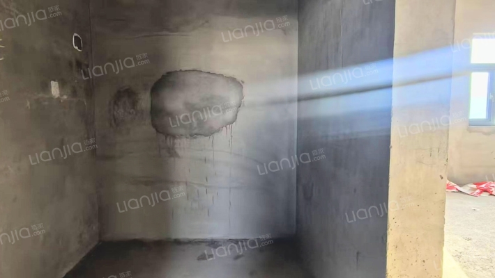 竹语堂 联排边户院子大 满五年 毛坯房 业主诚售-储物间