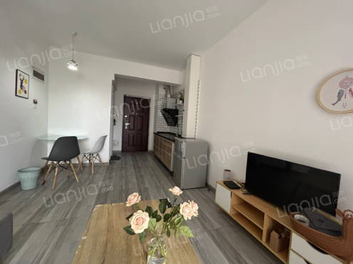 整租·兴荣郡 1室2厅 南