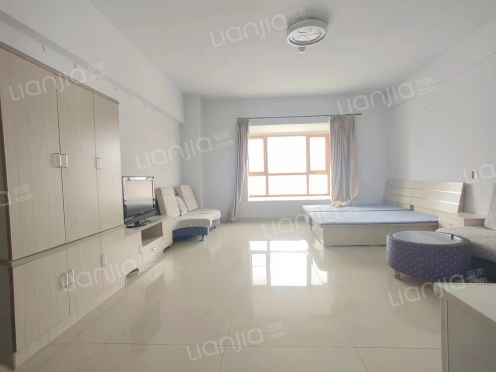 整租·利佰佳国际 1室1厅 北